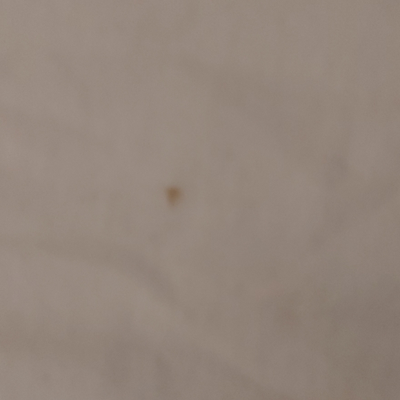 "Blessed"cropped tee - Picture 4 of 4